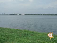 -丁香湖公园