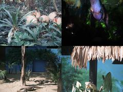 -广州长隆野生动物世界