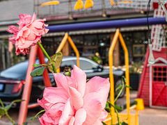 -一品渔乡·水库灶台鱼·乐享庭院
