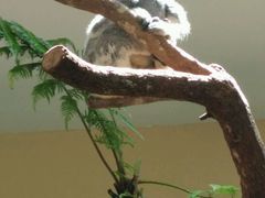 android_upload_pic-河川生态园