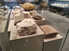 -湖南省地质博物馆