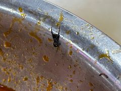 -凤张螺蛳粉·爽口粉(跃进路总店)