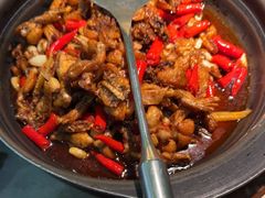 -蛙小侠(古镇大信新都汇店)