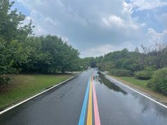 -同里国家湿地公园