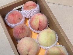 -老袁家蜜桃农场·阳山水蜜桃