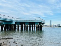 -海沧湾公园