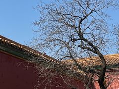 -故宫博物院(故宫)