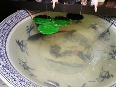 -南京金牛湖巨碗鱼头