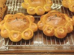 -乡田小墅(展览馆路JK FUN商城店)