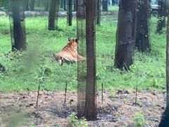 -秦皇岛野生动物园