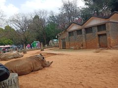 -昆明动物园