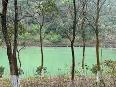 -广州白江湖森林公园