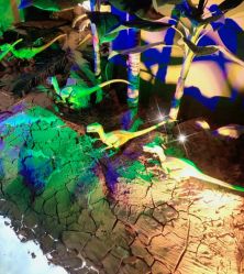 -恐龙探索乐园(磁器口店)