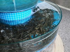 -蓝珊甄选海鲜自助·火锅大排档(近阿那亚店)