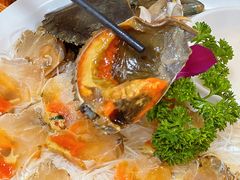 -官塘陈记鱼生·潮汕砂锅粥·牛肉火锅(潮枫路总店)