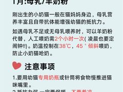 -艾贝尔宠物医院·24H转诊中心·肿瘤猫专科(江宁双龙店)