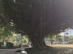 -南宁南湖公园