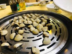 鲜白贝-渔文乐农庄