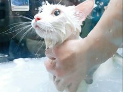 -佳雯宠物医院(四明中路分院)