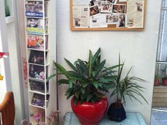 -燕庭·纯燕窝·甜品下午茶(南京西路店)