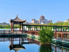 -莲花池公园
