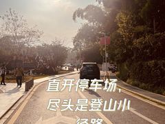 -黄埔油麻山森林公园