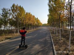 -天津东丽湖风景区