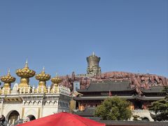 -上海东林寺(金山区)