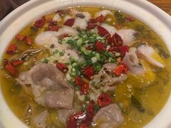 -长沙猫歌音乐餐厅(湖南女子大学店)