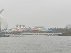 -南汇新城城市公园
