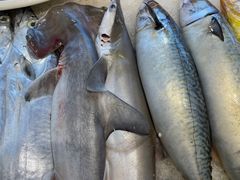 -天天渔港海鲜酒家(石浦玉泉路店)