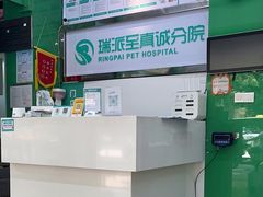 -瑞派动物医院·猫专科·至诚(江南中分院)