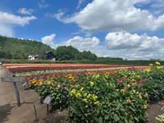 -富田农场