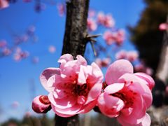 -北京稻香村(天桥乐汇百货商场店)