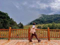 -白草畔自然风景区