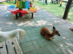 -北京鹿世界主题园