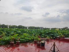 -嘉北郊野公园