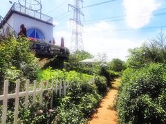 -紫颐香薰山谷景区