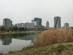 -桂溪生态公园