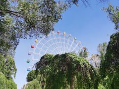 游乐设施-水上乐园·欢乐世界