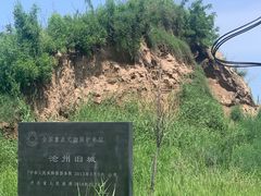 -铁狮子