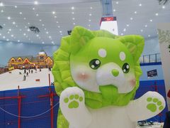 -广州热雪奇迹