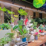 来有熊の花园 办一场与众不同的团建活动