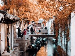 -绍兴鲁迅故里·沈园景区