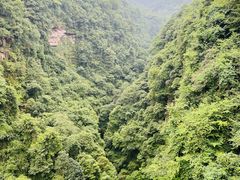 -碧峰峡风景区