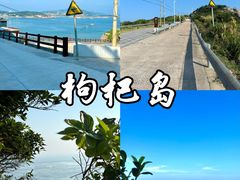 -枸杞岛