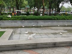 -顺峰山公园