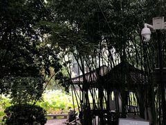 -包公祠