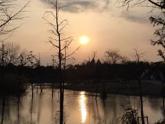 -上海长兴岛郊野公园