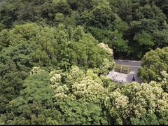 -宝界山林公园